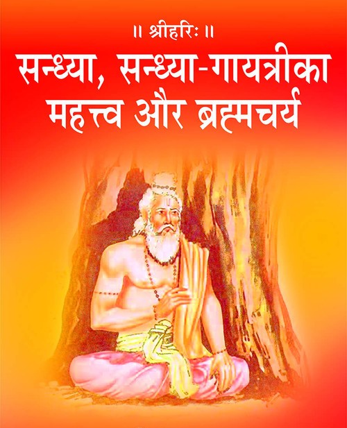 सन्ध्या, सन्ध्या गायत्री का महत्त्व और ब्रह्मचर्य