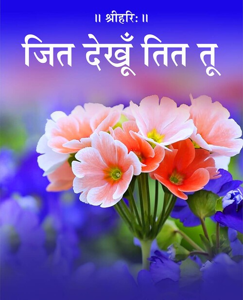 जित देखूँ तित तू